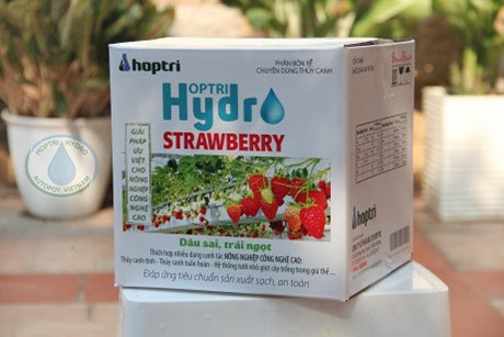 HydroStrawberry