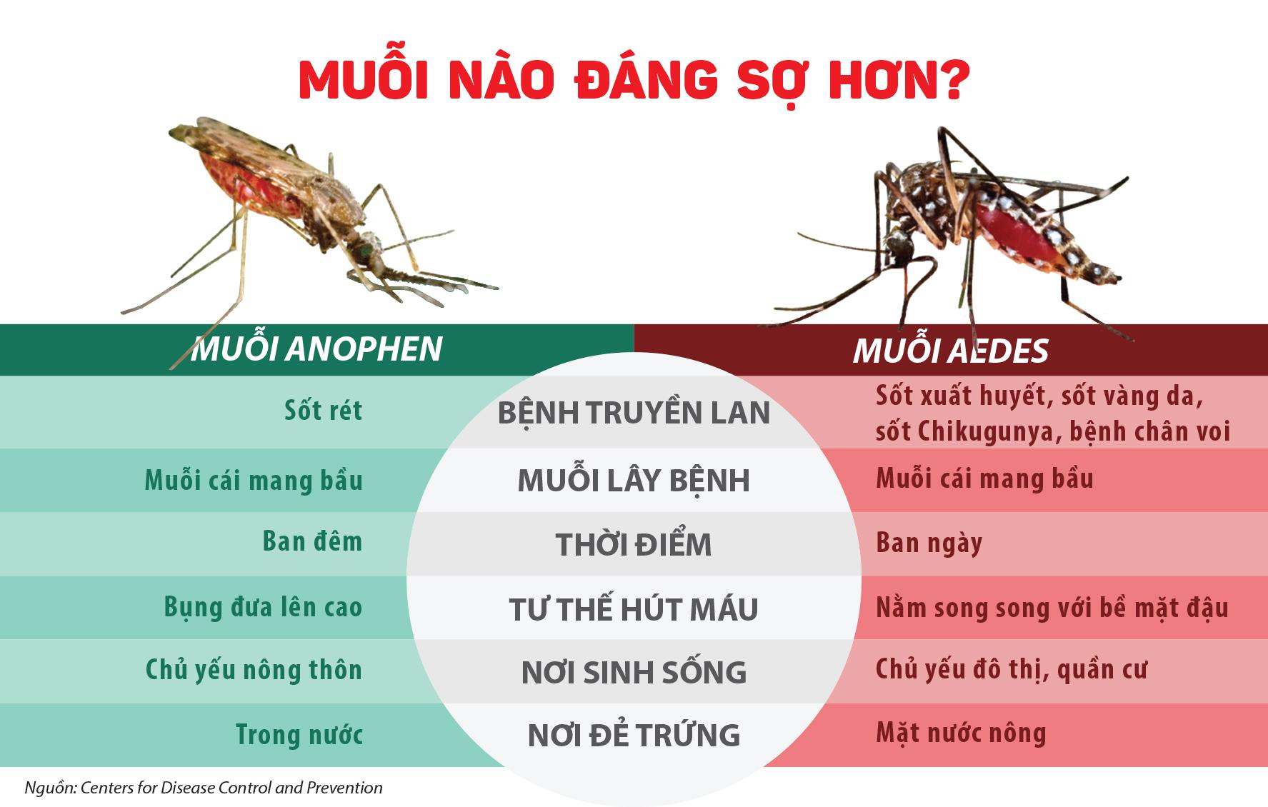 Phan biet muoi anophenles va aedes