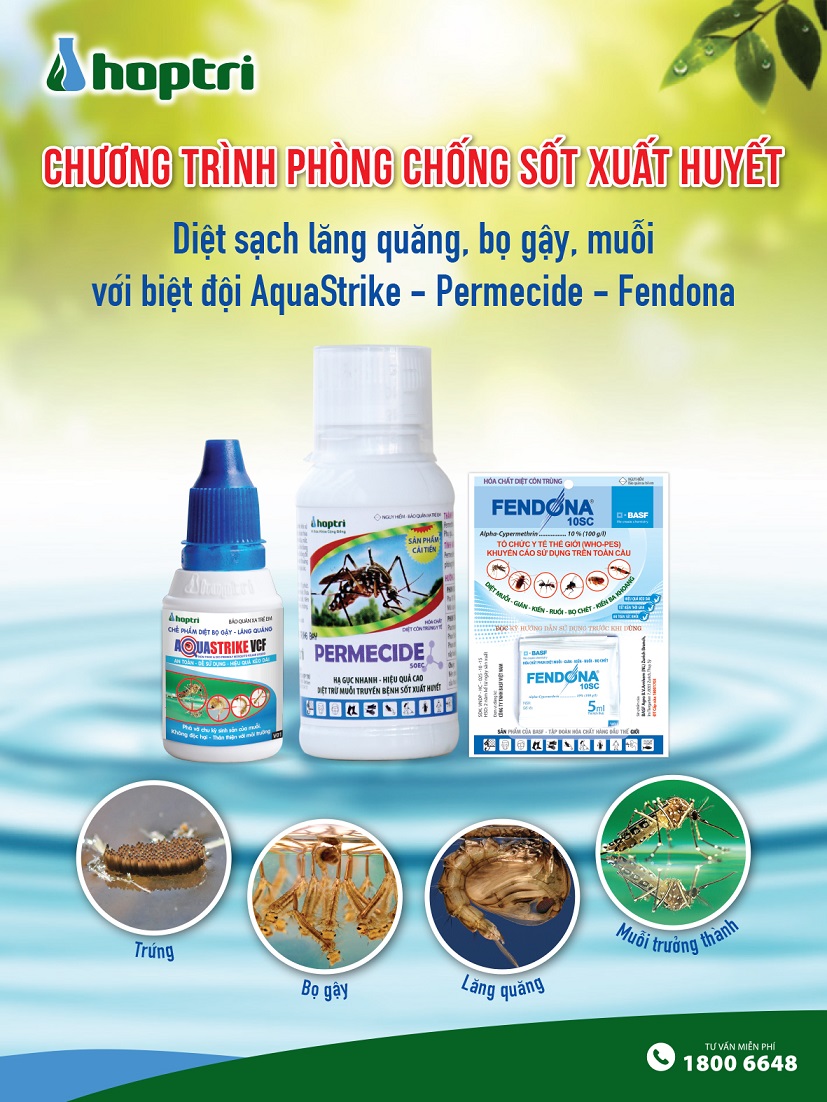 Phòng chống sốt xuất huyết với Fendona Permecide Aquastrike