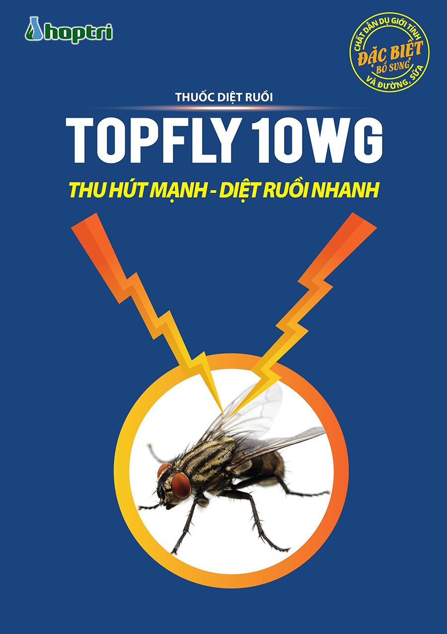 Poster Topfly10WG