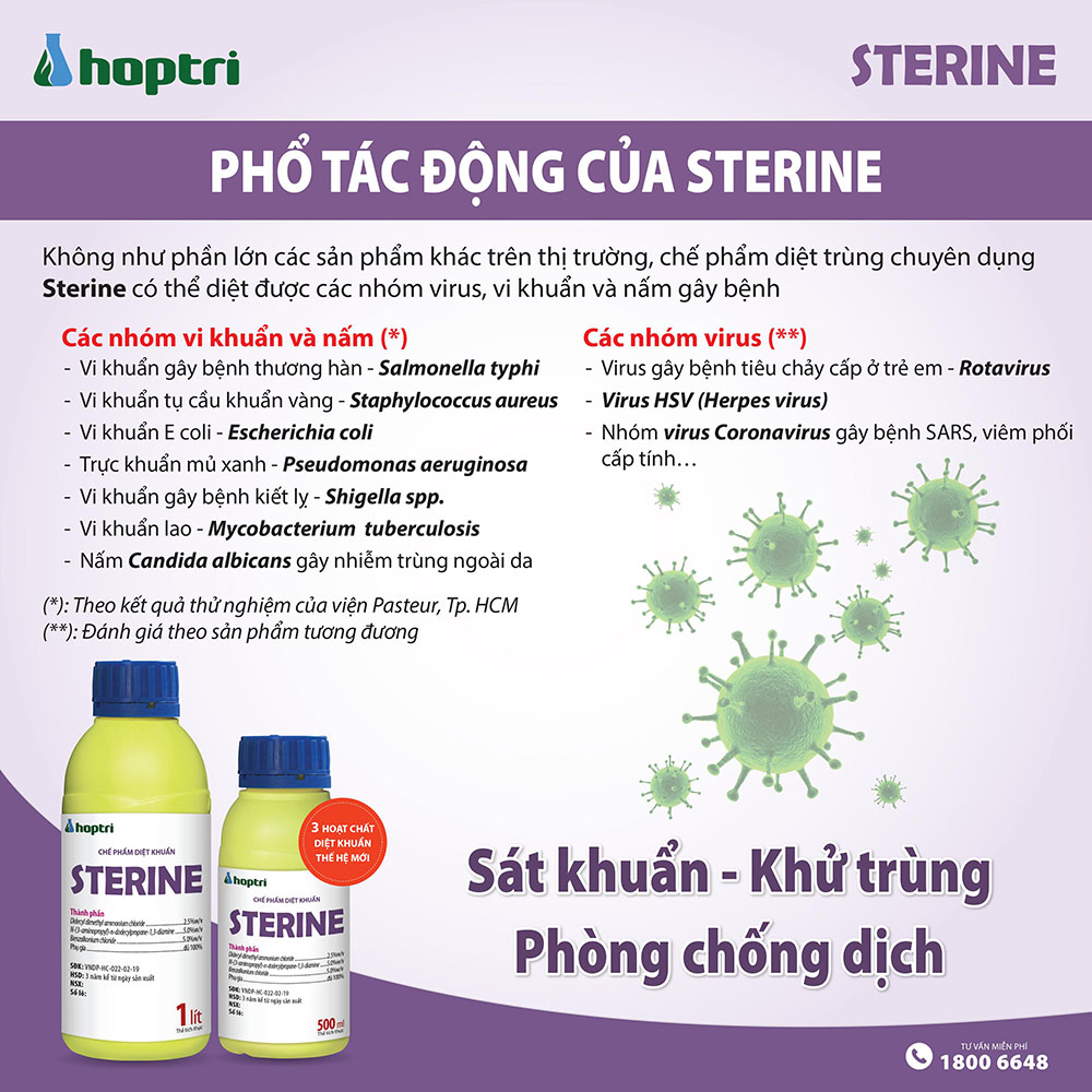 Sterine diet virus vi khuan nam