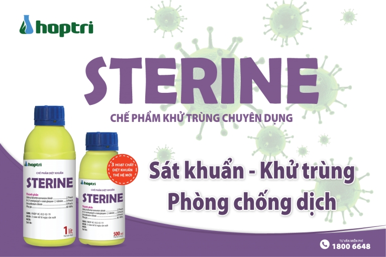 Dung dịch khử trùng chuyên dụng Sterine giúp phòng ngừa dịch bệnh viêm phổi Corona hiệu quả