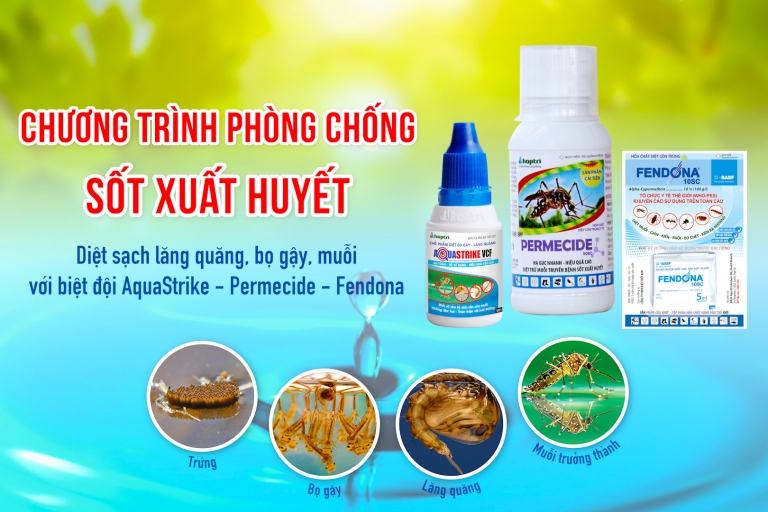 Sốt xuất huyết tăng, cách nào phòng chống bệnh?