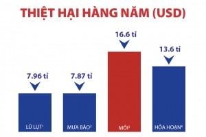 Mối gây thiệt hại hơn 16 tỷ USD hàng năm trên toàn cầu